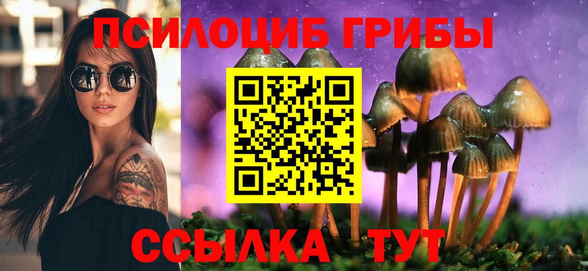 Псилоцибиновые грибы мицелий Кизляр