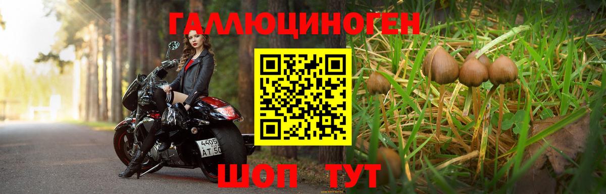 Псилоцибиновые грибы Magic Shrooms  Вход с VPN  Псилоцибиновые грибы Magic Shrooms  Кизляр 